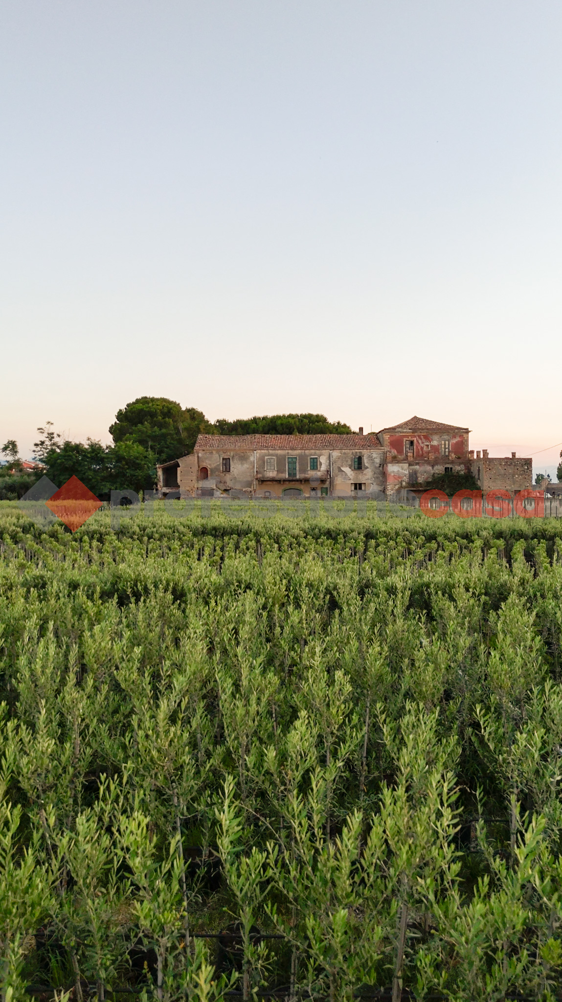 Screenshot #prof513 Via Botteghelle, Milazzo (ME)
